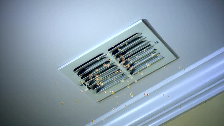 Best HVAC Air Duct Cleaning  in Edneyville, NC